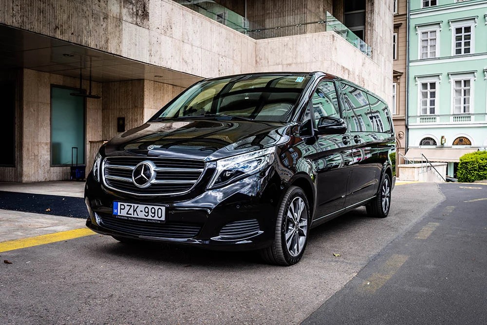 Repülőtéri transzfer és utazás a kisállatokkal: Hogyan biztosíthatjuk a kényelmet?